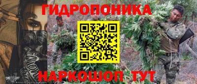 трава Пугачёв
